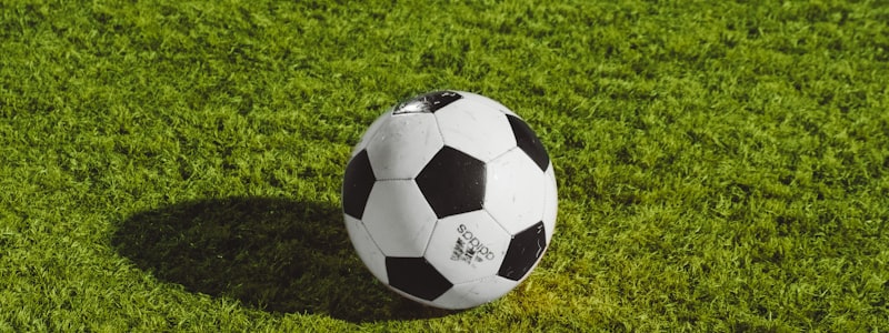 巴西对阵塞尔维亚比赛现场球场全景